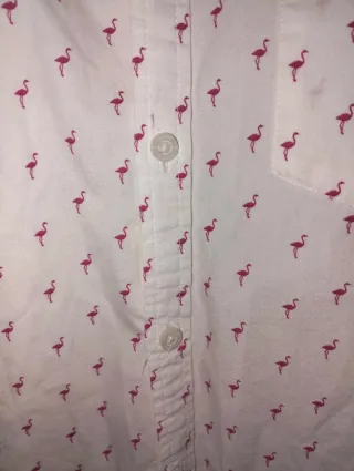 Camisa Denim and Flower Flamencos