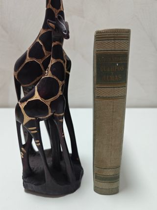 Cuerpos y Almas - Maxence Van Der Meersch (1956)