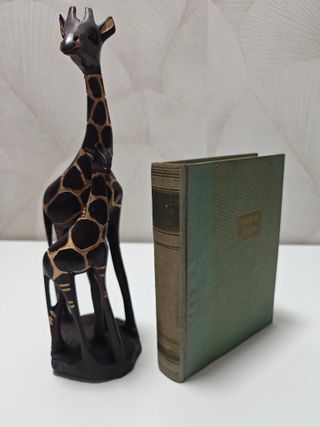 Cuerpos y Almas - Maxence Van Der Meersch (1956)