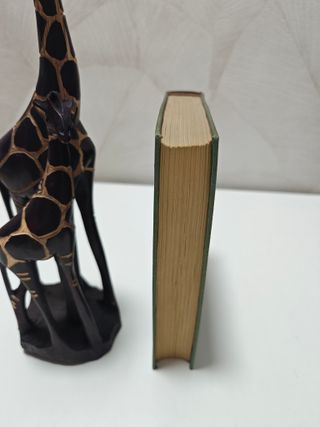 Cuerpos y Almas - Maxence Van Der Meersch (1956)