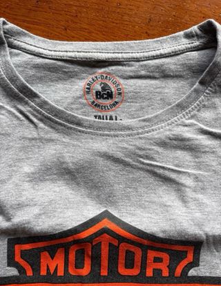 Camiseta Harley-Davidson Gris