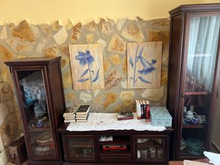 Mueble de salón madera maciza