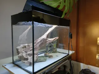 Pecera 65L con accesorios