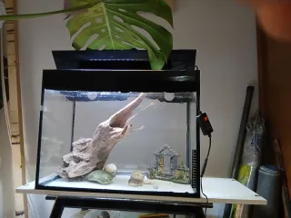 Pecera 65L con accesorios