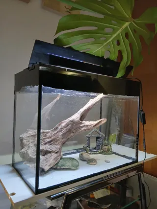 Pecera 65L con accesorios