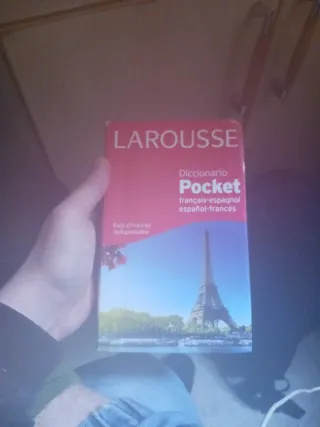 Larousse diccionario