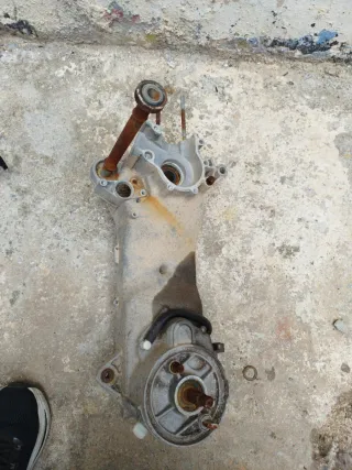 Carter Minarelli Horizontal