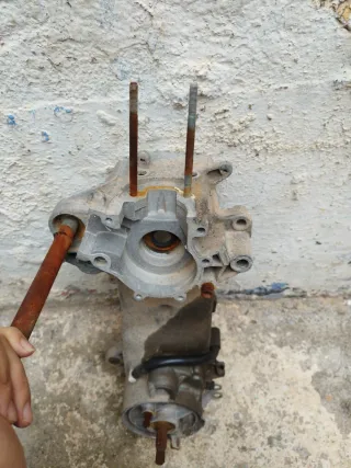 Carter Minarelli Horizontal