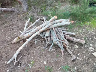 Leña gratis para recoger - regalo