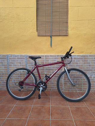 Bicicleta de Montaña