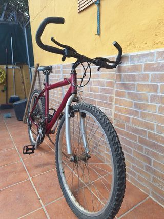 Bicicleta de Montaña