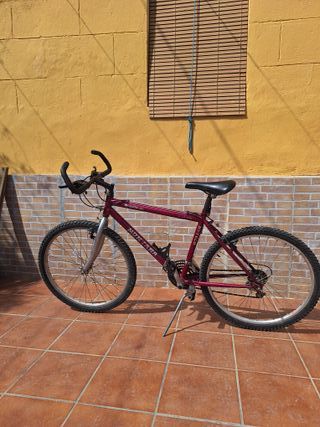 Bicicleta de Montaña