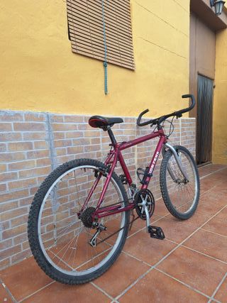 Bicicleta de Montaña
