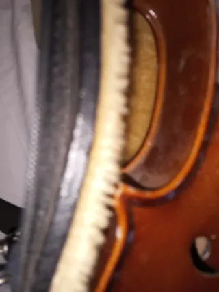 Viola Stentor con funda y arco