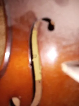 Viola Stentor con funda y arco