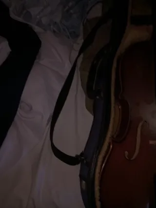 Viola Stentor con funda y arco