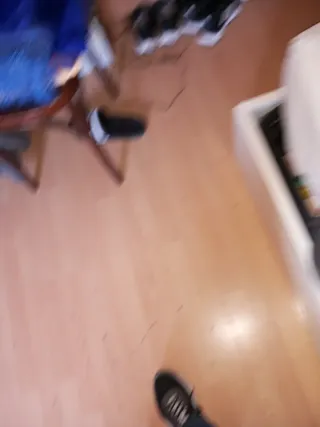 Viola Stentor con funda y arco