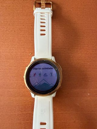 Garmin Fenix 6 s