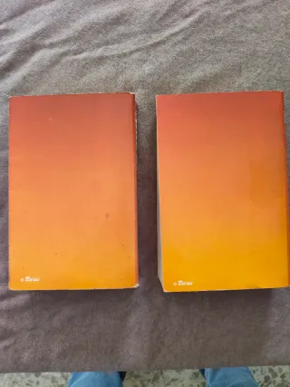 Libro La Araña Negra