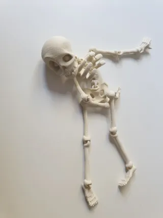Imán esqueleto articulado decorativo