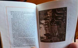 Mini Libri Collezione Classici