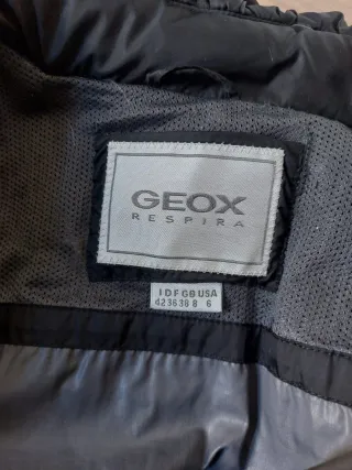 Giubbotto corto Geox donna marrone