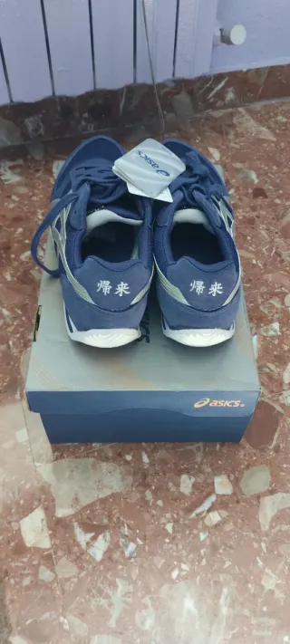 Zapatillas Asics Azul y Plata