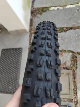 Gomma Maxxis Minion DHF 26 pollici