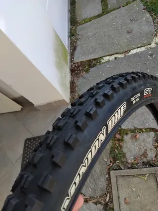 Gomma Maxxis Minion DHF 26 pollici