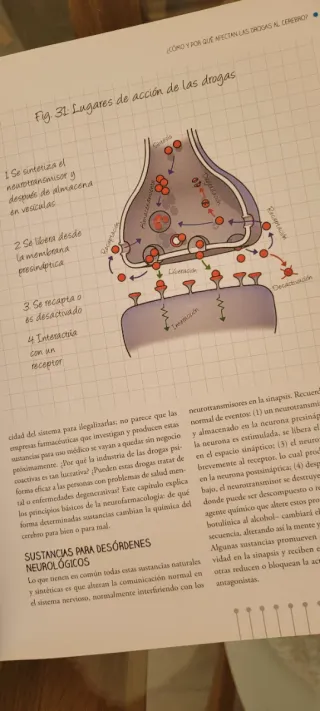 El Mundo Secreto del Cerebro: Qué Hace, Cómo Fun..
