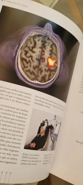 El Mundo Secreto del Cerebro: Qué Hace, Cómo Fun..