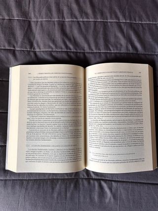 Teoría y práctica del derecho constitucional / ...