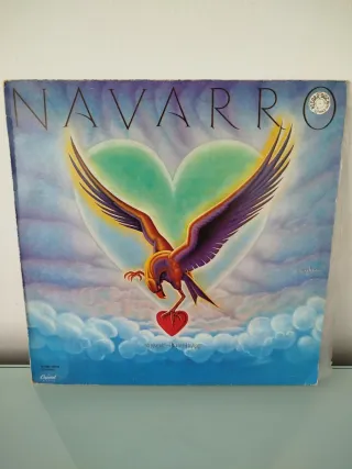 Vinilo Navarro Straight to the Heart