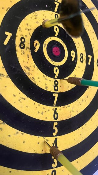 Diana de dardos profesional