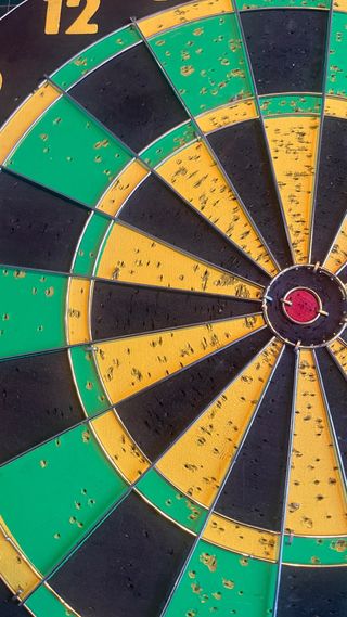 Diana de dardos profesional