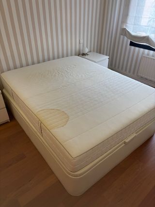 Canapé y Colchón 2019