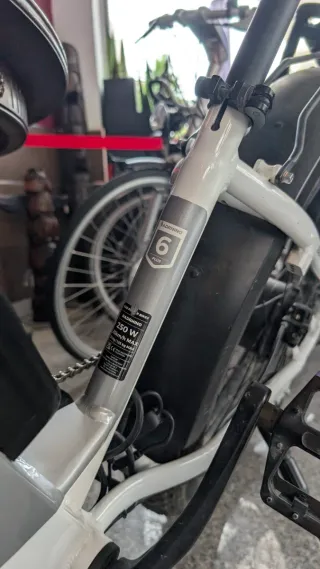 Bicicleta Eléctrica Rad Power RadRover 6