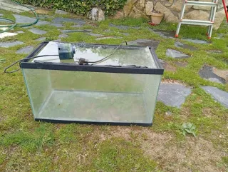 Acuario de cristal y plástico