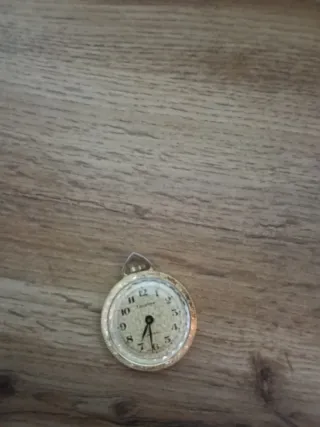 Reloj de bolsillo Lucerne