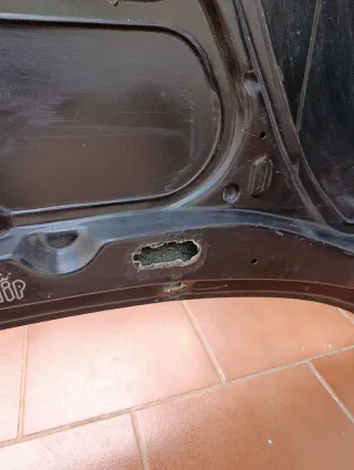 Capó de carbono para Golf 4