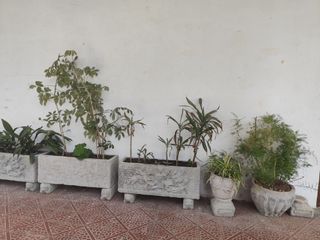 Maceteros de piedra - 3 largos y 2 redondos