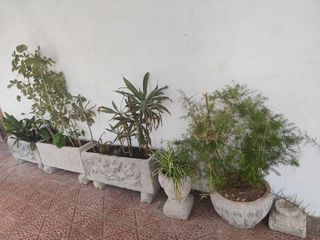 Maceteros de piedra - 3 largos y 2 redondos