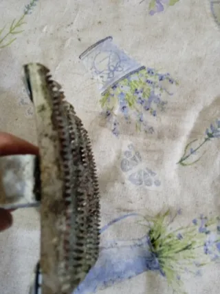 Rasqueta per animali in metallo