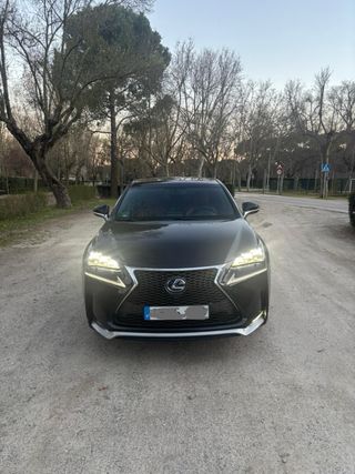 LEXUS Lexus NX 300h F Sport 4WD Panoramico Navibox