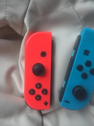 Nintendo Switch Joy-Con
