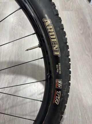 Syncros Silverton 2.0 29” Rueda