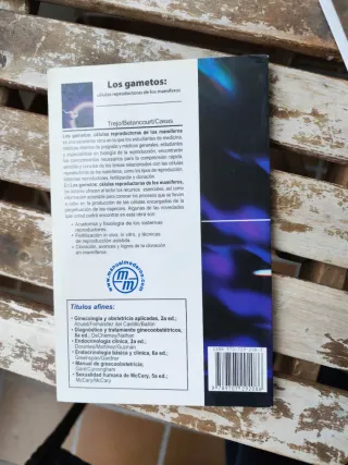 Los gametos - células reproductoras de los mamí...