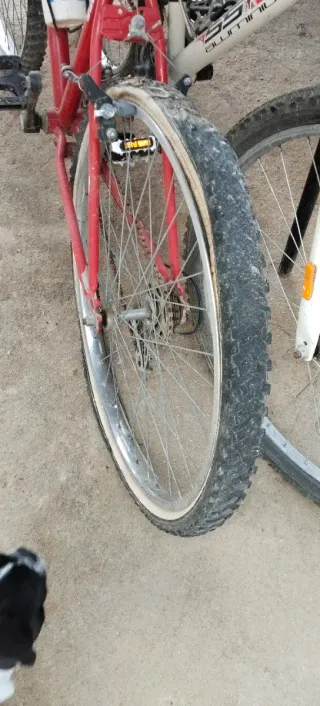 Bicicletas de montaña rojas y blancas