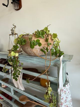 Antiguo Platero Decapé