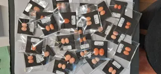 Cabochon di corallo arancione/rosa